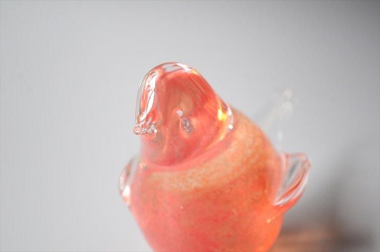 եɤ 줤ʥ 饹 С ֥ Ļ ̲ bird ե奢 ơ ƥ_ig3907