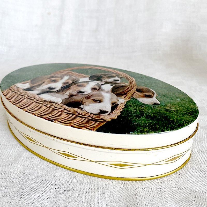 ơ̡ե󥹤ۻҤζ̡ХåȤλҸãХ
12OTdp12