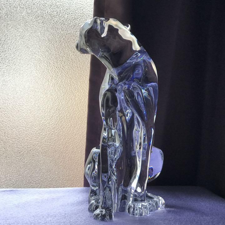 ХBaccaratCheetahե5kgꥢꥹ