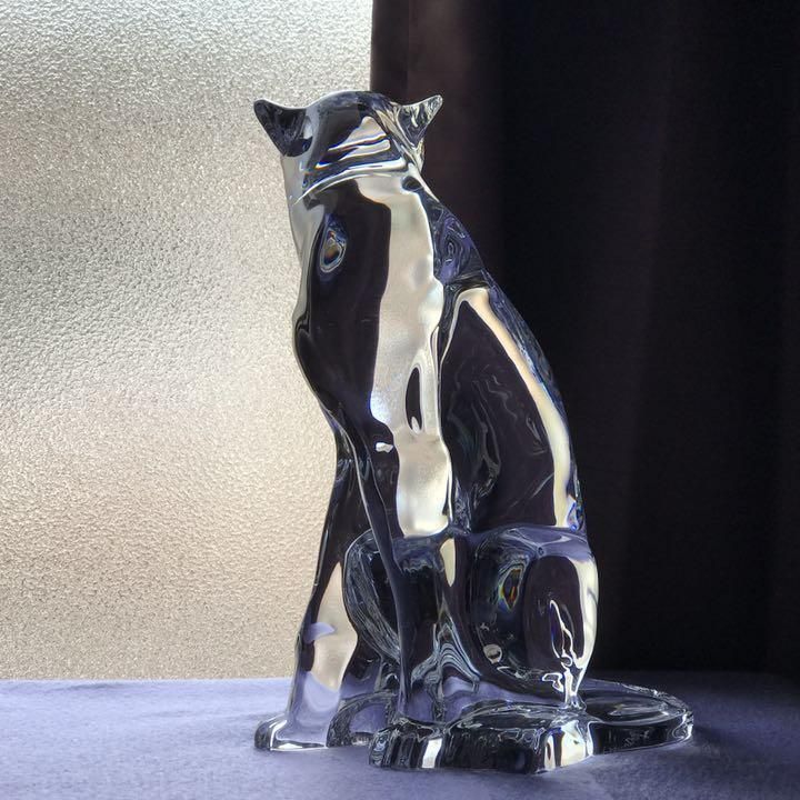 ХBaccaratCheetahե5kgꥢꥹ