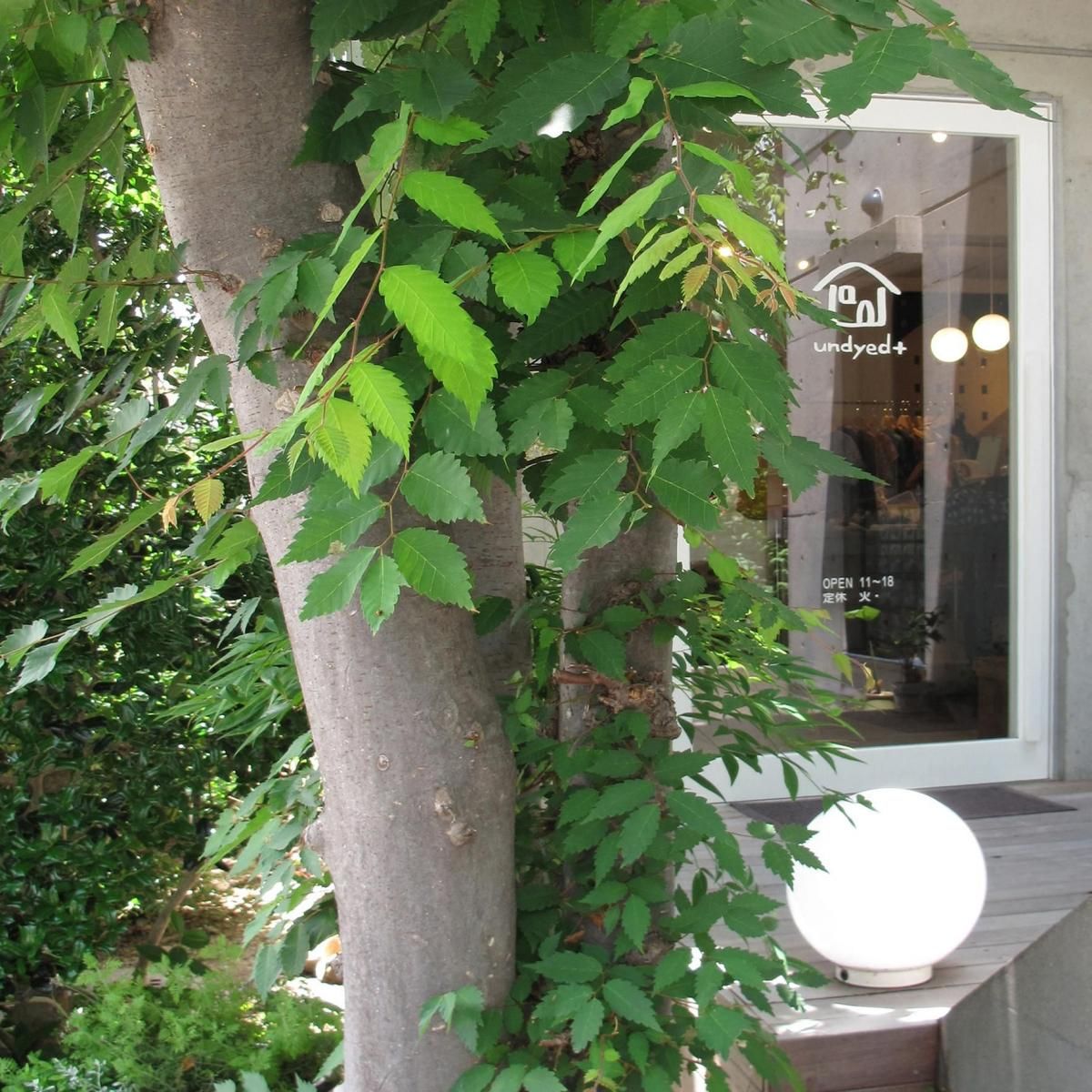 undyed+ʥ゙゙ ゚饹ˤβ2