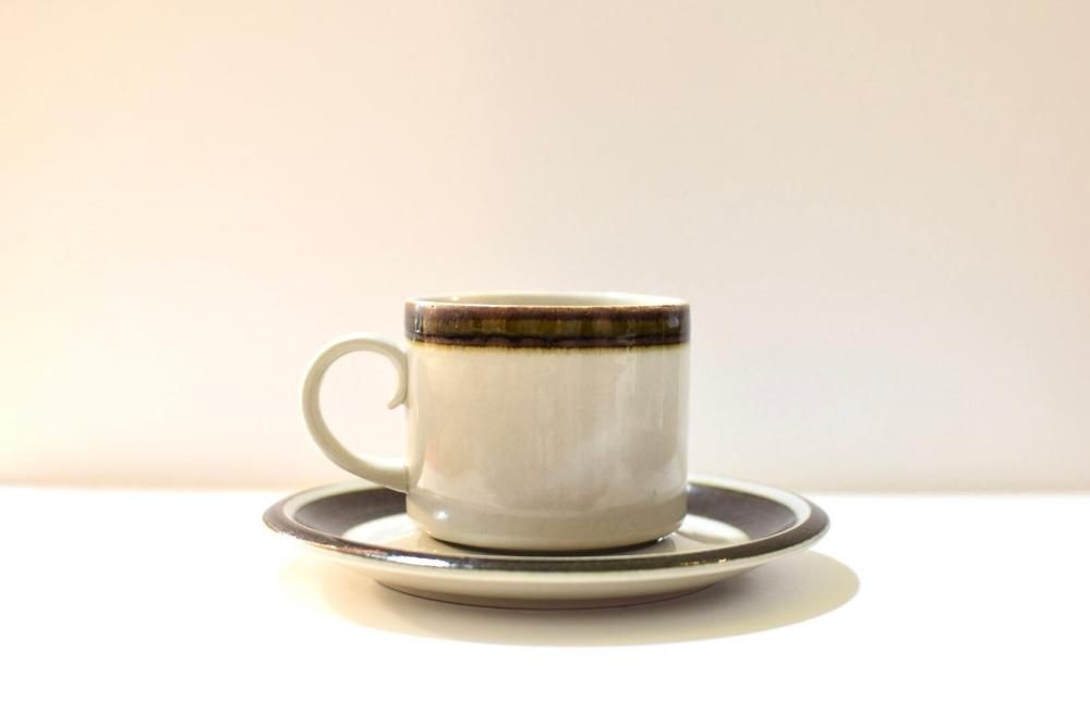 ڥơʡۥӥ֥ꥢץҡåץ C Arabia 'Karelia' coffee sets