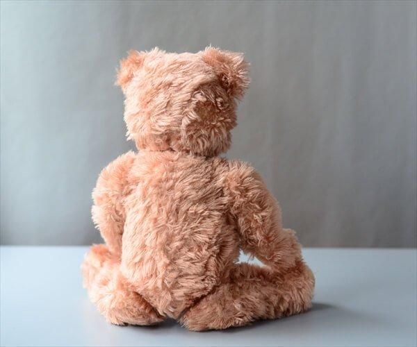 ドイツから ヴィンテージ ピンク毛足のテディベア Teddy Bear ドイツから ヴィンテージ ピンク毛足のテディベア Teddy Bear