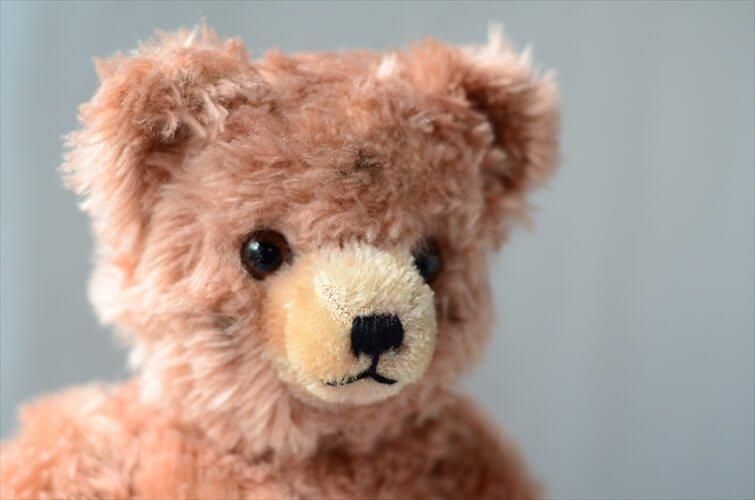 ドイツから ヴィンテージ ピンク毛足のテディベア Teddy Bear ドイツから ヴィンテージ ピンク毛足のテディベア Teddy Bear