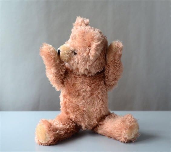 ドイツから ヴィンテージ ピンク毛足のテディベア Teddy Bear ドイツから ヴィンテージ ピンク毛足のテディベア Teddy Bear