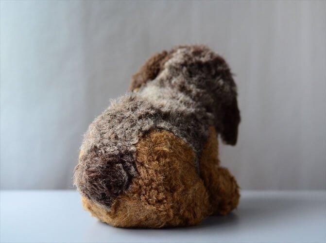  ɥ Steiff Junior Lumpi ƥꥢ ɥå Ƹ  Dog ̤ ե奢 ƥ_240530 ig3986