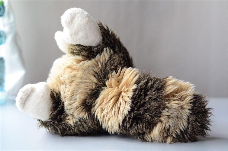 ドイツ製アンティークアライグマぬいぐるみ 希少な一点物