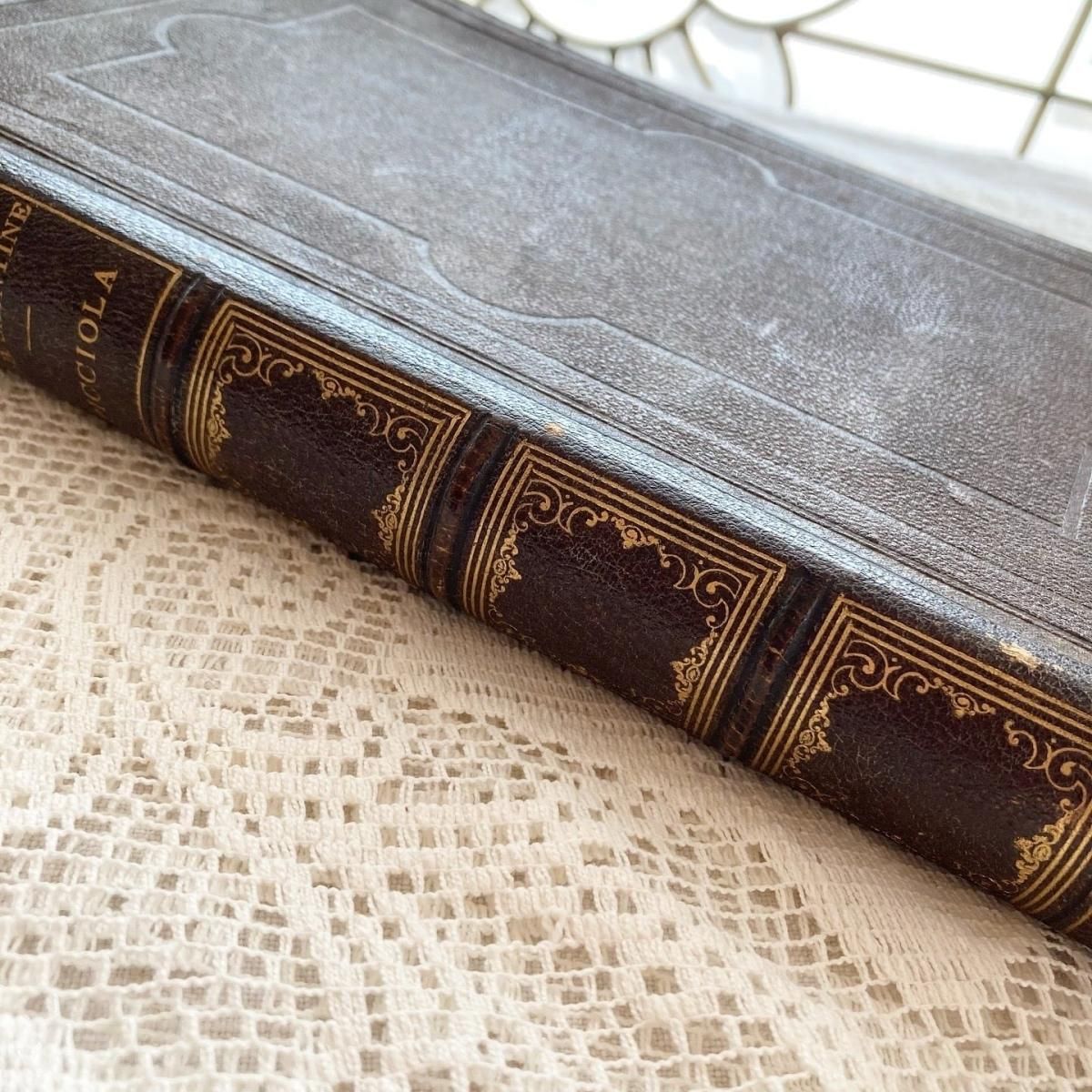 ڥեľ͢¸ߴ礭 ǥץ쥤˥ ƥν