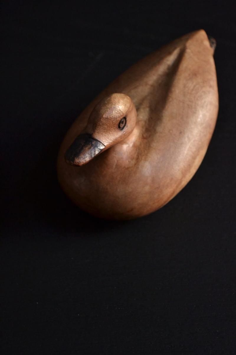 Duck decoy