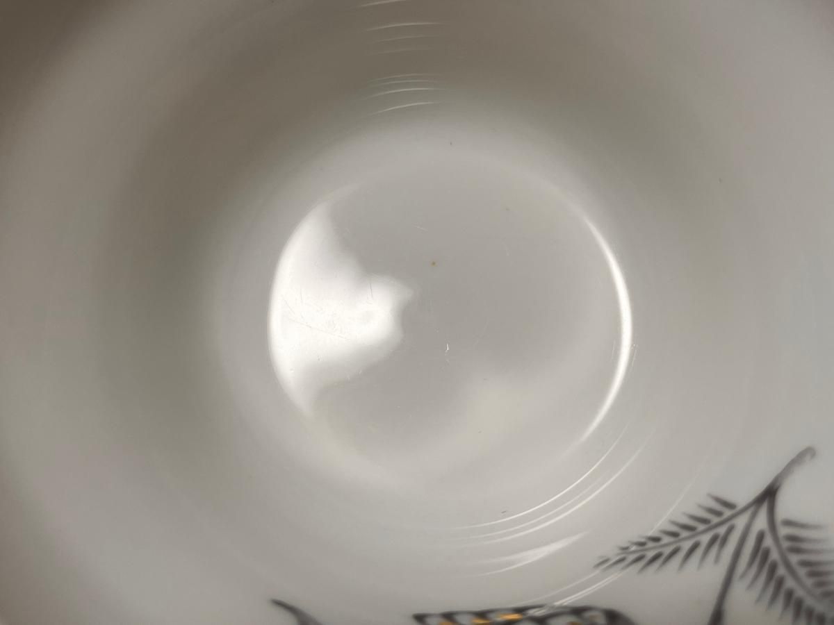 ウェッジウッド　パイディッシュ 6111hXQMdyL._AC_UF350,