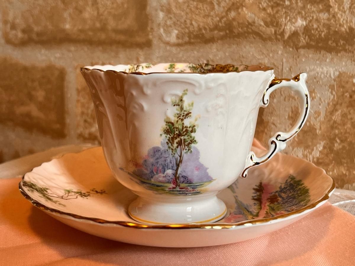 英国 エインズレイ C493-5パターン カップ&ソーサー - ANTIQUE 英国 エインズレイ C493-5パターン カップ&ソーサー - ANTIQUE