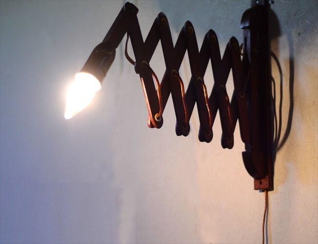 ǥޡ Υ 饤 ɳݤ ߥåɥ꡼ ̲  ơ ƥ_240614 ig4004