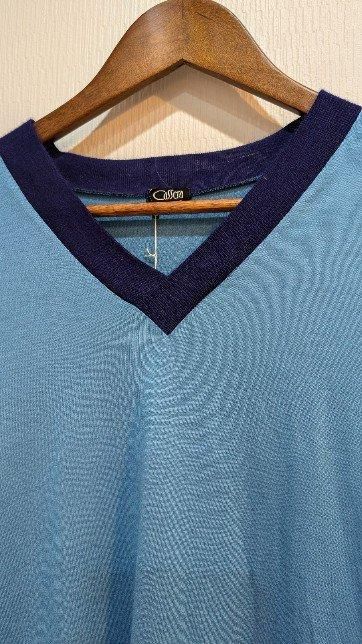 ꥢ Ĺµ줤ʥ֥롼˥åȡ