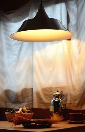 ǥޡ 绱СɤΥڥȥ饤 ̲   ߥåɥ꡼ ơ_240620 ig4015