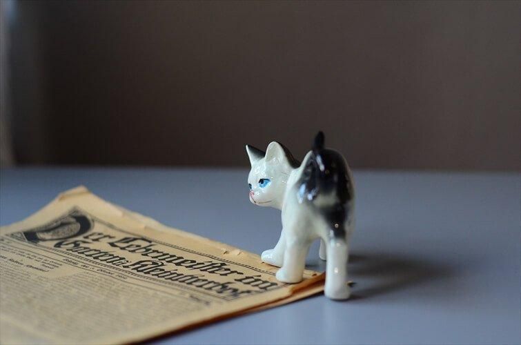 ե󥹤 򼧤οͥ ֥ ǭ ۥ磻ȥݡ ե奢 ơ ƥ_240705 ig4049