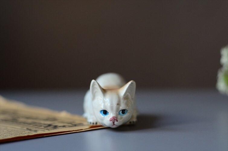 ե󥹤 򼧤Τͥ ֥ ǭ ۥ磻ȥݡ ե奢 ơ ƥ_240705 ig4050