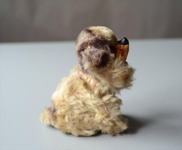 ɥ Steiff  奿  dog ̤ ɡ ե奢 ƥ ơ_ig4069