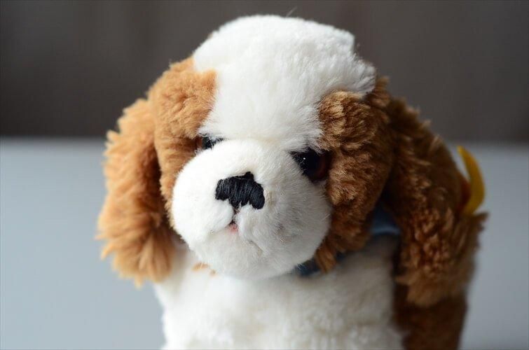 ドイツ製 Steiff イヌ シュタイフ セントバーナード 仔犬 dog ドイツ製 Steiff イヌ シュタイフ セントバーナード 仔犬 dog