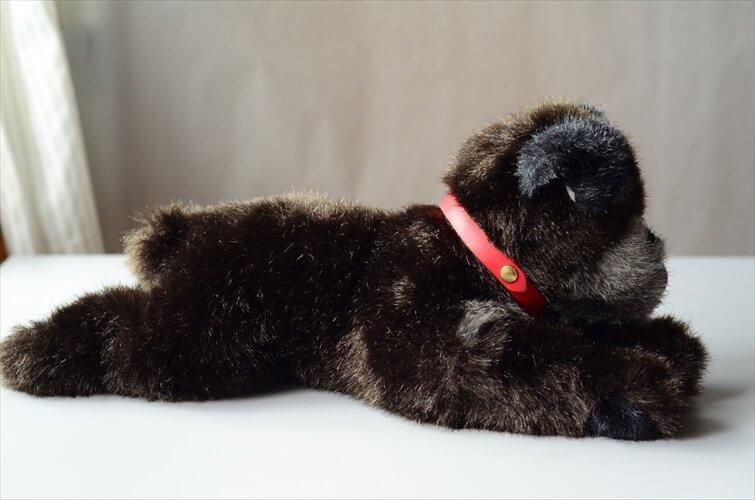 ɥ Steiff  奿 ʥ  dog ̤ ɡ ե奢 ƥ ơ_ig4071