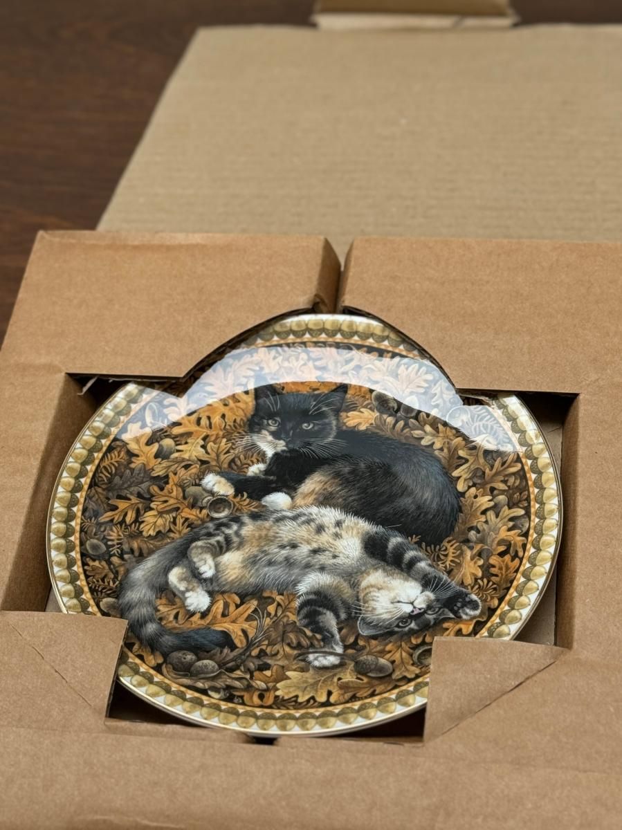 󥺥쥤 ֥ߡȡޥȥ׳쥹꡼󡦥ܥ꡼11ȥץåȥ꡼1990ǯ 