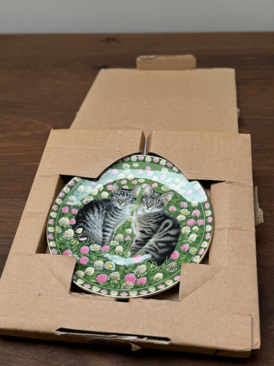 󥺥쥤 ֥ߡȡޥȥ׳쥹꡼󡦥ܥ꡼5ޥڥåȡߥ塢1990ǯåꥹȯ