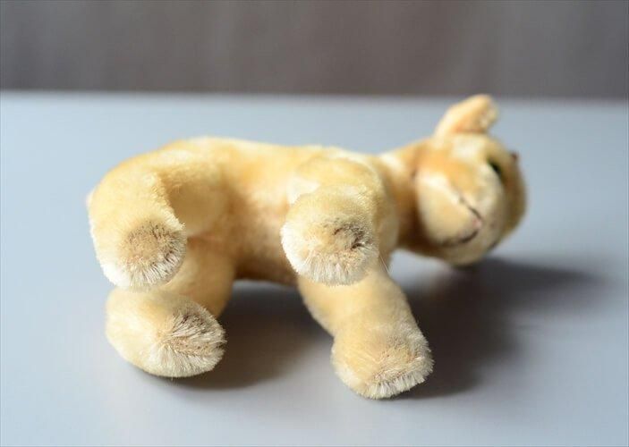 ɥ Steiff 䥮 奿 ̤ Zicky ɡ ե奢 ƥ ơ_ig4076