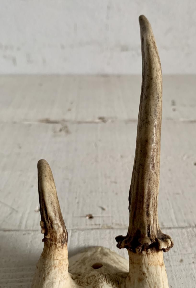 ե󥹥ơϥƥ󥰥ȥե4 (BR - ob 95)