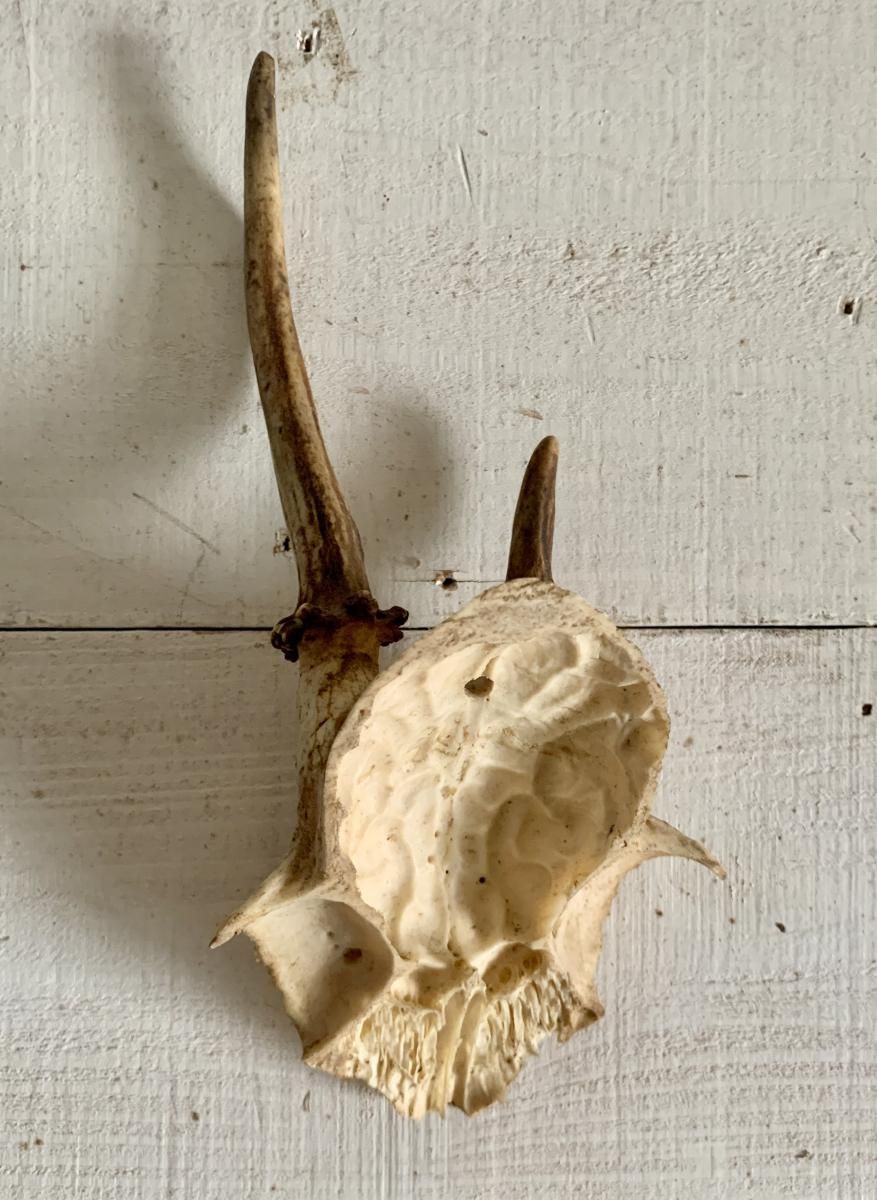 ե󥹥ơϥƥ󥰥ȥե4 (BR - ob 95)