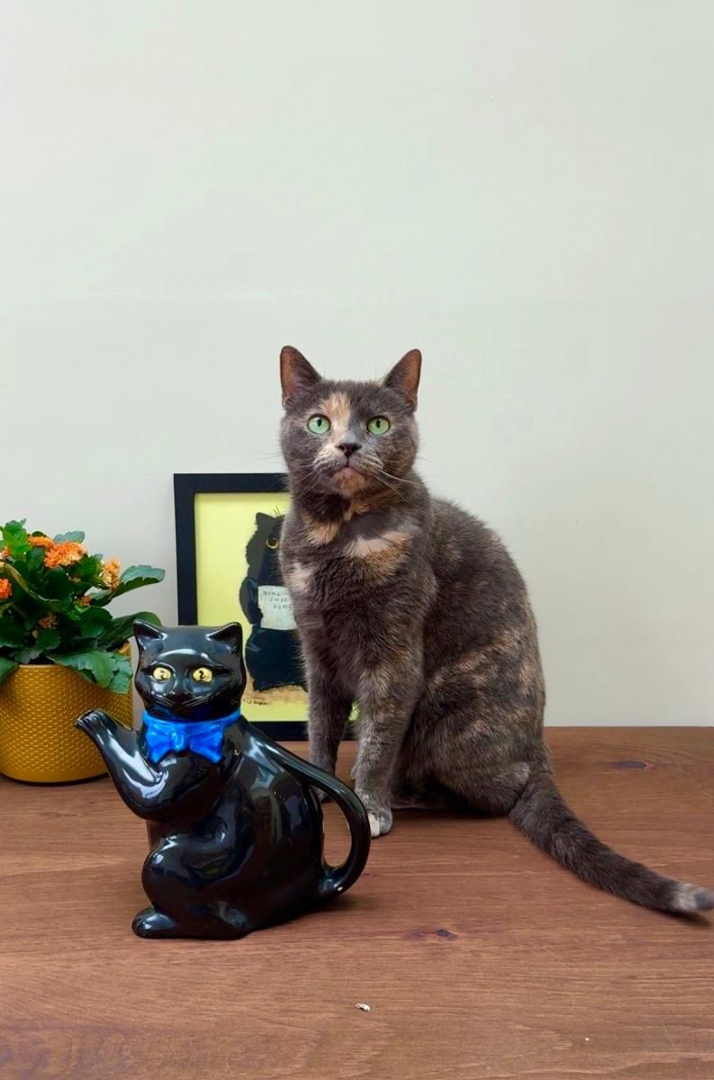 プッシーフット」黒猫のティーポット、ウッド&サンズ社、1920 プッシーフット」黒猫のティーポット、ウッド&サンズ社、1920