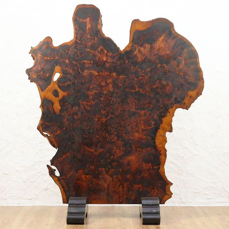  ҥ ŷ Ω ֻڤ ѡơ  ŷǺ ڤβ ¥ ʥ ʪ