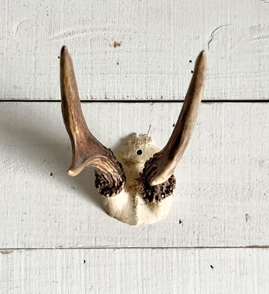 フランス ヴィンテージ 小鹿 ハンティングトロフィー