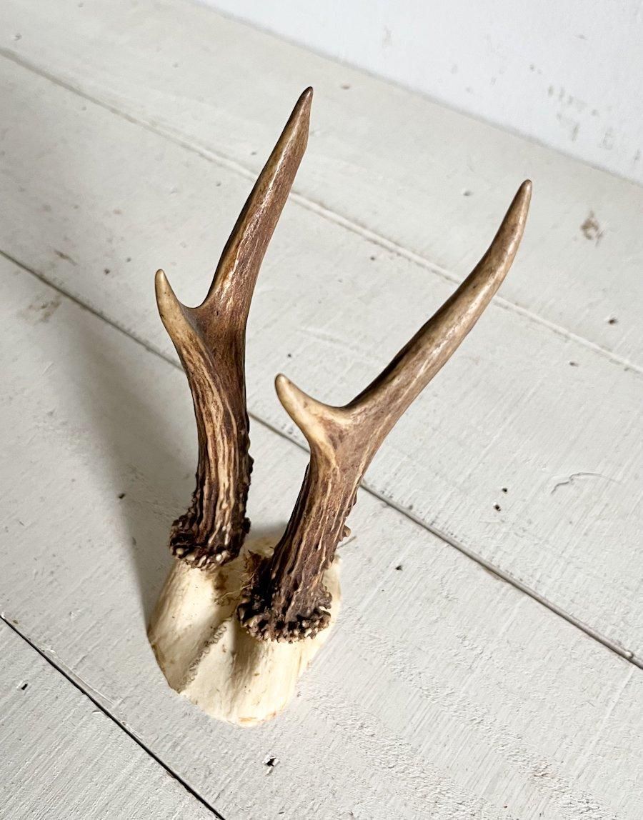 フランス ヴィンテージ 小鹿 ハンティングトロフィー