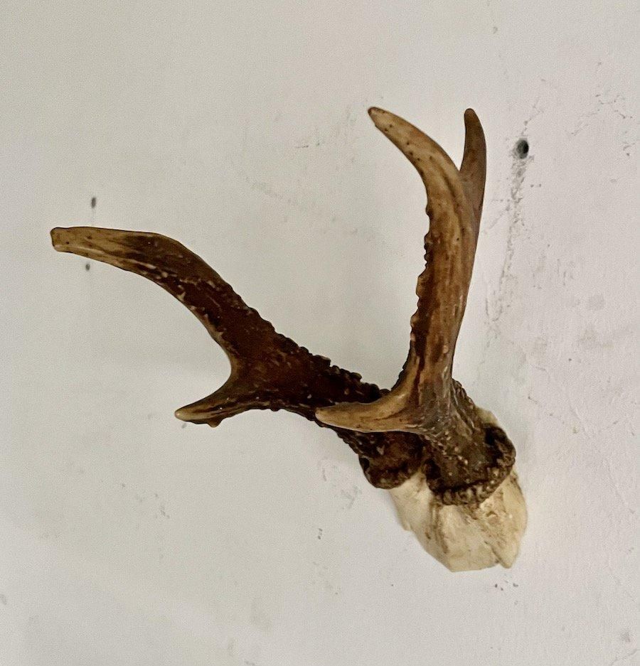 ե󥹥ơϥƥ󥰥ȥե6 (BR - ob 97)