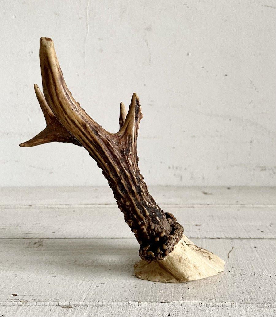 ビンテージ  ハンティングトロフィー ビンテージ ハンティングトロフィー