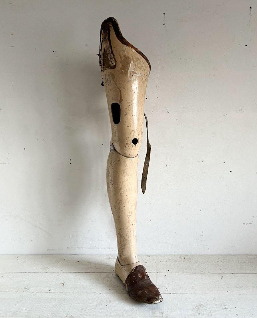 ե󥹥ƥ­()( GA - ot 66)