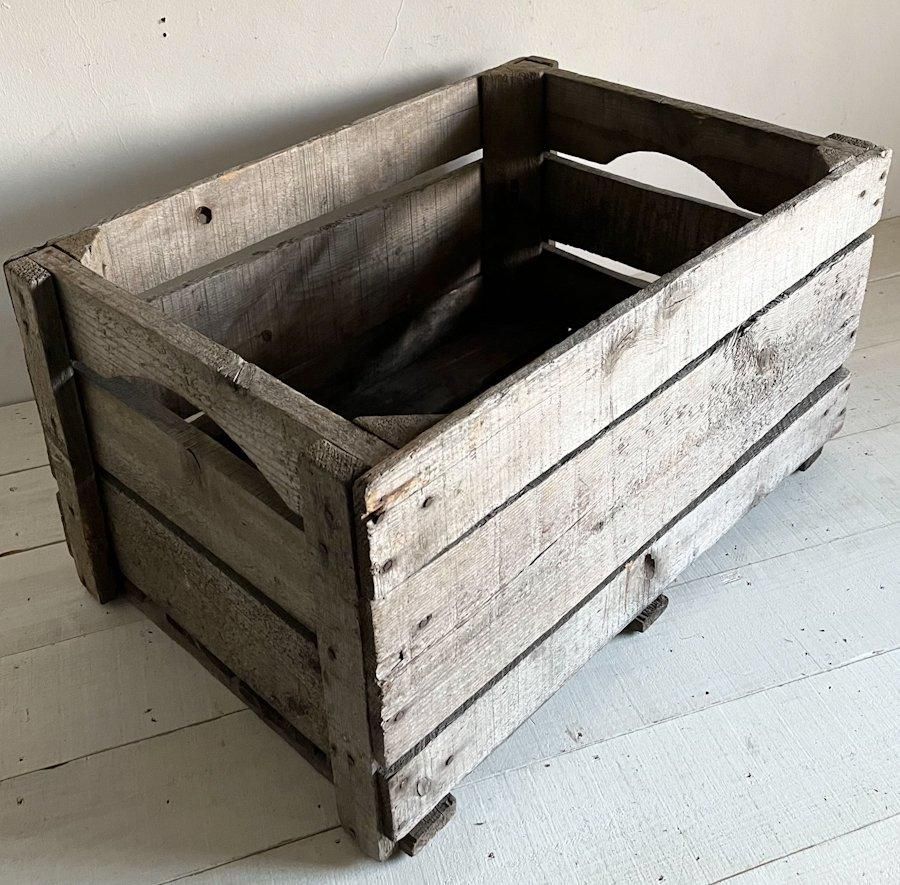 ե󥹥ƥȢ()2(AW024-117) 