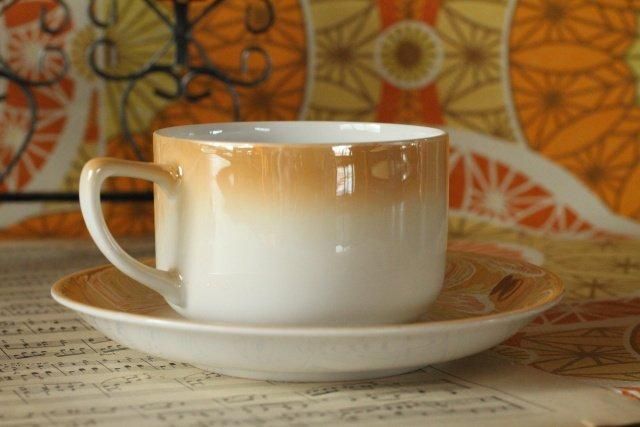 첤ХVICTORIA åס [tcs-21/da0105]