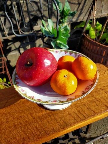 ե֥ȡԥ󥯤ΥХ餬ʥݡ [tk-47/na-l20]