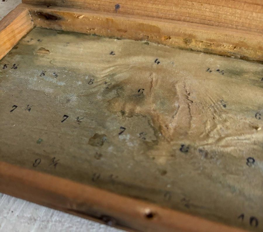 ե󥹥ƥץѡȢ (aw024-120)