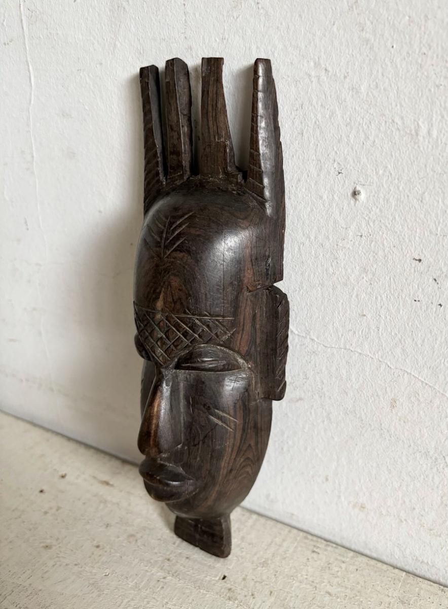 եꥫ󥪥֥Ħʪ 1 ( BR - ob 104) 