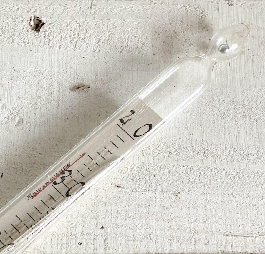 アンティーク温度計 thermometer / アンティーク温度計 | cocon