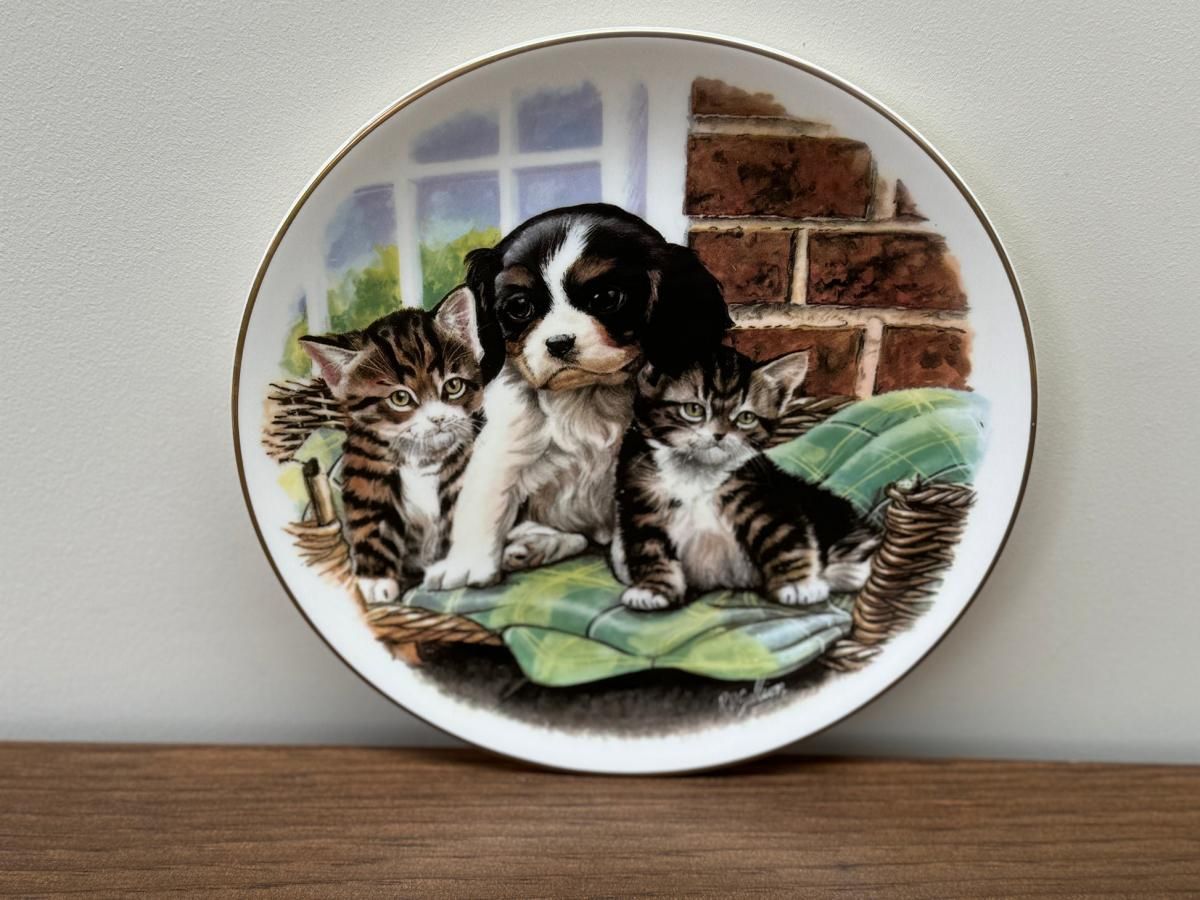 ヴィンテージ ロイヤルアルバート ボーンチャイナ 絵皿