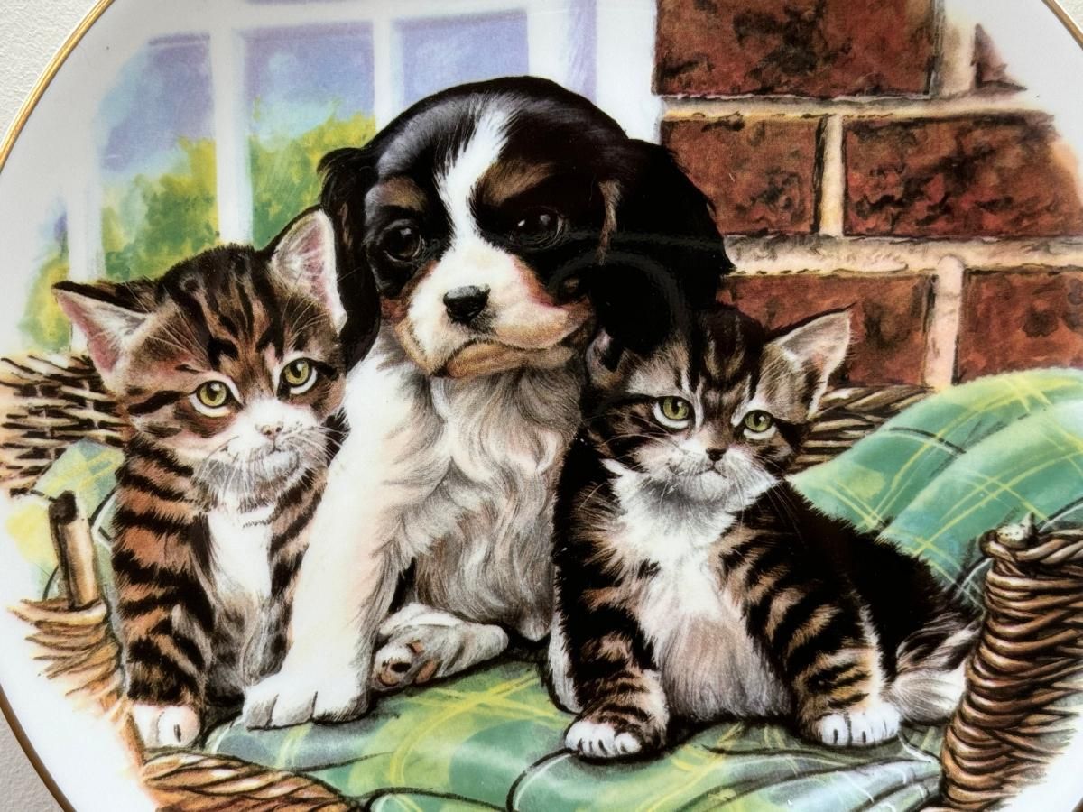 ロイヤルアルバートの飾り皿(ネコとパンジー) ヴィンテージ ロイヤルアルバート ボーンチャイナ 絵皿