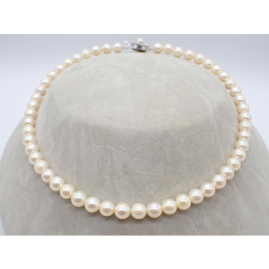 俿ͥå쥹 41cm 7mm