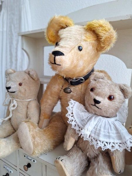 アンテークテディベア - アンティークモール＆蚤の市情報サイト｜全国