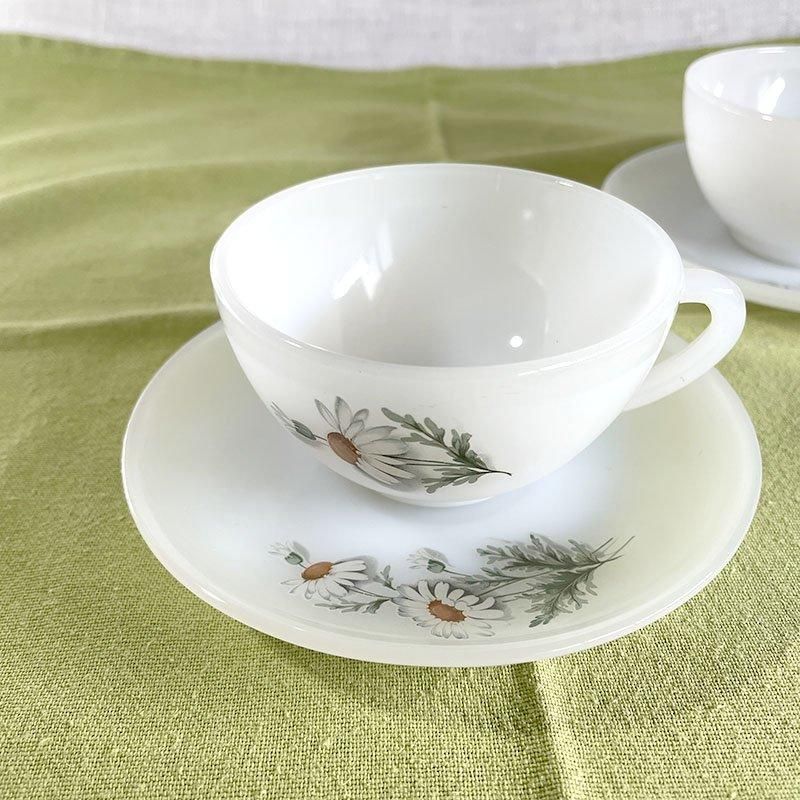 åסarcopal 륳ѥ롡ޡå
19twd90