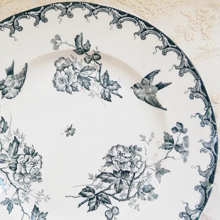 TB0775A
ե󥹡ST AMAND AUBEPINE󥿥ޥ󡡥եСɡץ졼ȡʿA