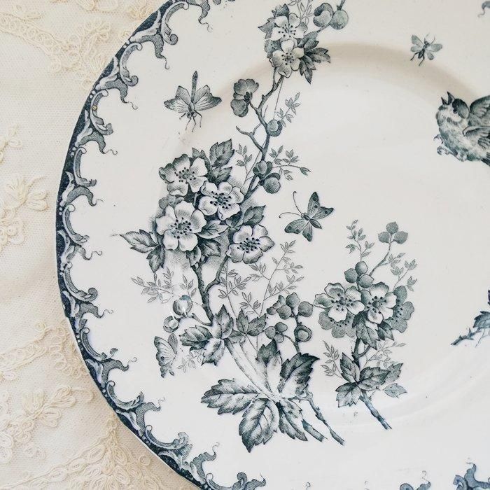 TB0775E
ե󥹡ST AMAND AUBEPINE󥿥ޥ󡡥եСɡץ졼ȡʿE