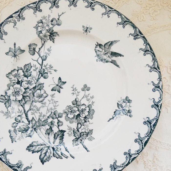 TB0775E
ե󥹡ST AMAND AUBEPINE󥿥ޥ󡡥եСɡץ졼ȡʿE