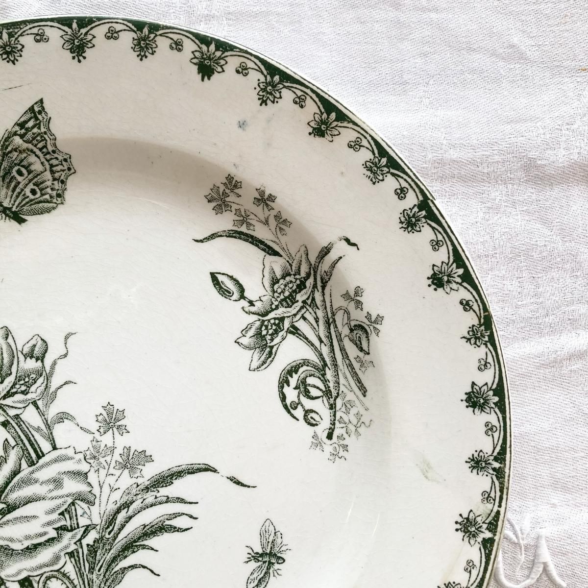 ڥեľ͢ۥܥ˥ʳΤ褦 兩 